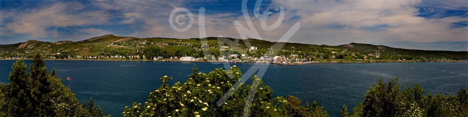 Harbour Grace